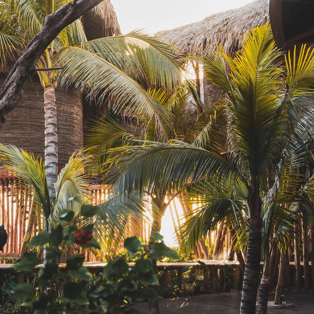 Jungle Tree House setting